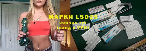 шишки Баксан