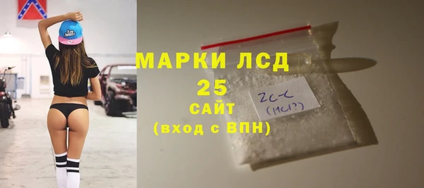 шишки Баксан