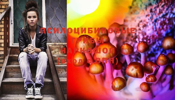 шишки Баксан