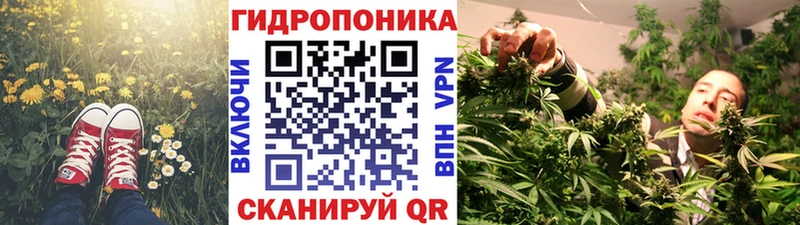 Купить где  Новозыбков  Марихуана AK-47 